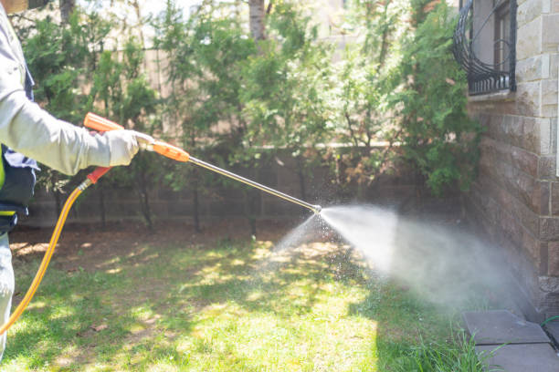 Outdoor Pest Control in Snyder, OK